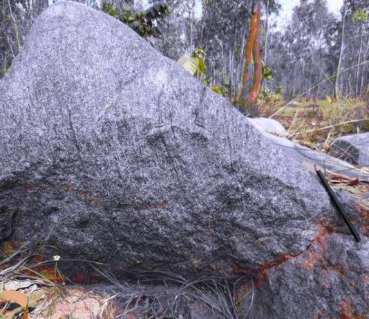 The 4.2 billion-year-old zircon in the rock offers fresh clues about the earth’s origins A rock sample recovered nearly eight years ago from Champua in Odisha’s Kendujhar district has put India at the forefront of geological research in the world. Scientists have found in the rock a grain of magmatic zircon (a mineral that contains traces of radioactive isotopes) that is an estimated 4,240 million years old — a discovery of great promise to study the earth’s early years. Geologists from the University of Calcutta and Curtin University, Malaysia, along with researchers from the Chinese Academy of Geological Sciences, Beijing, made the discovery, which was published last week in the journal Scientific Reports. Rajat Mazumder, geologist and one of the authors of the paper, said that the only instance of zircon older than this discovery was the one found in Jack Hill, Western Australia, which was 4,400 million years old and is the oldest known rock sample. But the zircon in this case was from metamorphosed sedimentary rock, unlike the Singhbhum one, which was formed from magma. “Thus, the Singhbhum rock from where the zicron was recovered is the second oldest and its zircon, the oldest magmatic zircon on earth,” Dr. Mazumder said. Along with Dr. Mazumder, Trisrota Chaudhuri, a scholar with the University of Calcutta who is also associated with the Geological Survey of India (GSI), had spent years researching the Singhbhum rocks of Odisha. Turned to China Dr. Mazumder and Ms. Chaudhuri studied the samples at the Geological Studies Unit of the Indian Statistical Institute, Kolkata. The isotopic analysis was a big challenge. They approached many laboratories in Australia, Canada, Germany and the US, in vain. They finally turned to China. “The machine used is called Sensitive High Resolution Ion Microprobe (SHRIMP). It is not available in India. Dr. Yusheng Wan, a Senior Researcher with the Beijing SHRIMP Center at the Chinese Academy of Geological Sciences, Beijing, agreed to analyse only four samples on a collaboration basis,” Dr. Mazumder said. The analyses confirmed the presence of two zircon grains that were 4,240 million and 4,030 million years old. “Their study will add valuable information about the presence of water in the first few hundred million years of the Earth’s history. It will also give us clues to when plate tectonics began,” Dr. Mazumder said.